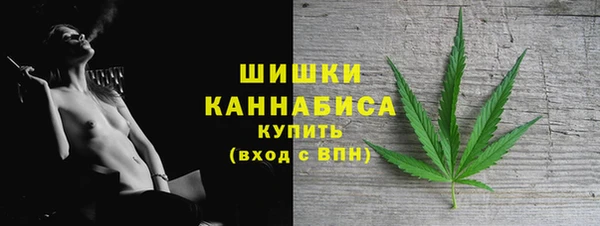 дмт Белокуриха