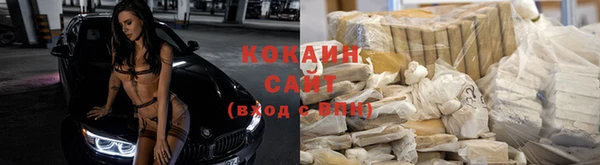 дмт Белокуриха