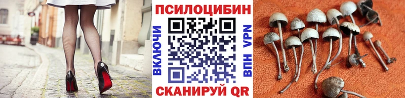 Галлюциногенные грибы GOLDEN TEACHER мега Гудермес продажа наркотиков